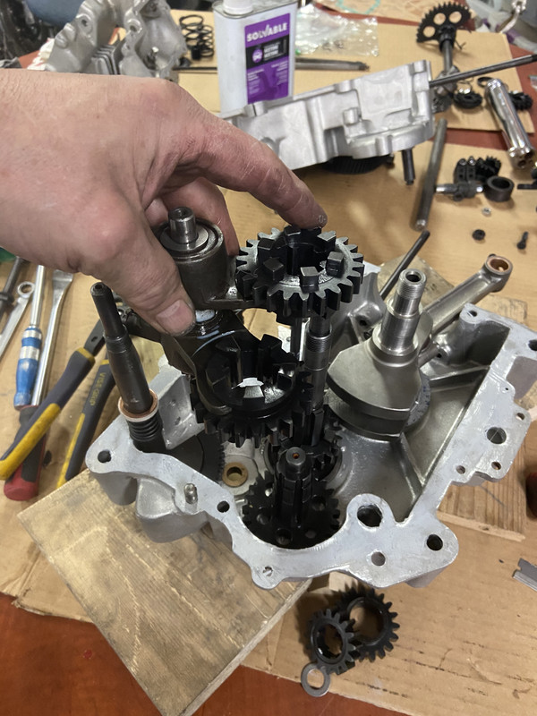 8B7DA59B-D77D-48F4-9A57-E19899FB34FB