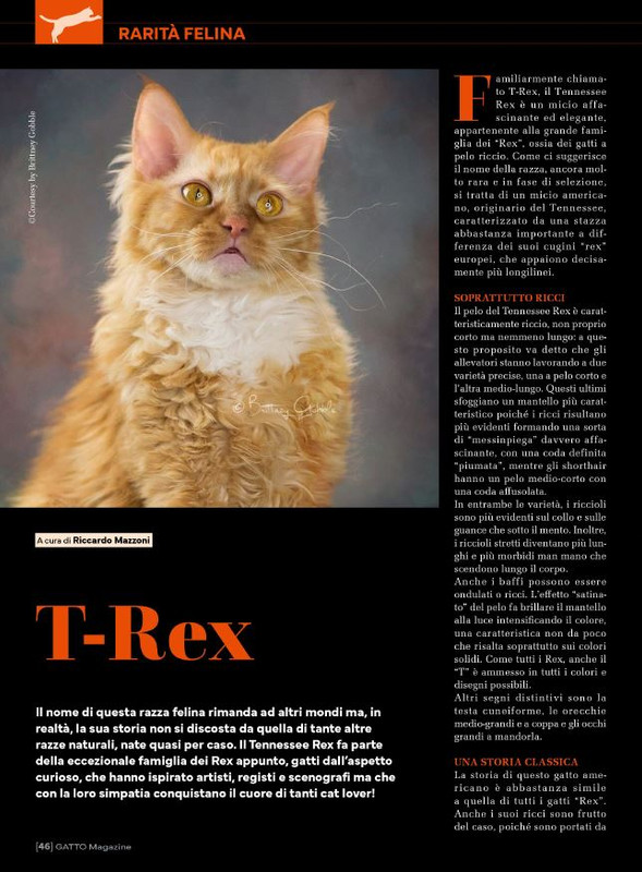 Ga Ma Dic 2023-Gen 2024 (7)