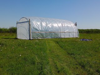 [Image: IMG-20240422-161600.jpg]