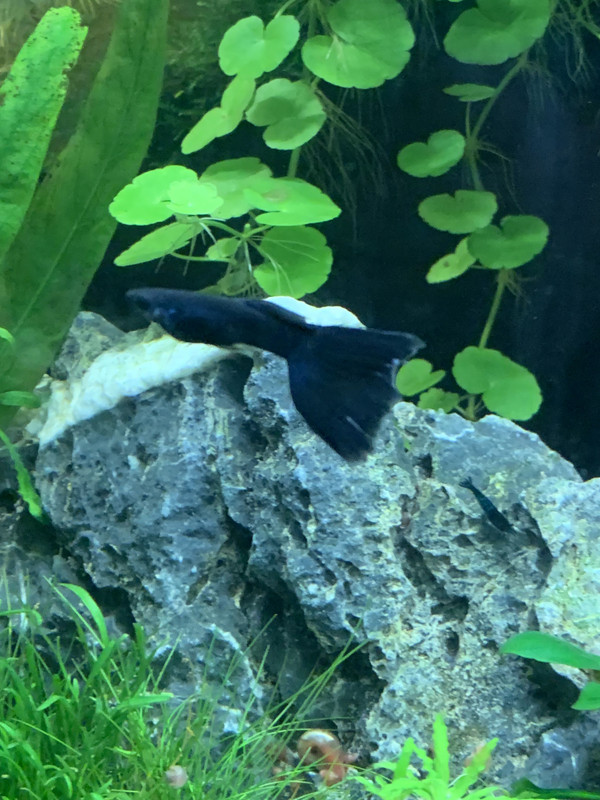 65AA895D-DA82-4CF9-A808-C4CD00CC40E5