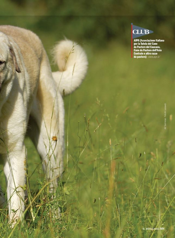 Il M C Ott 2022 (10)