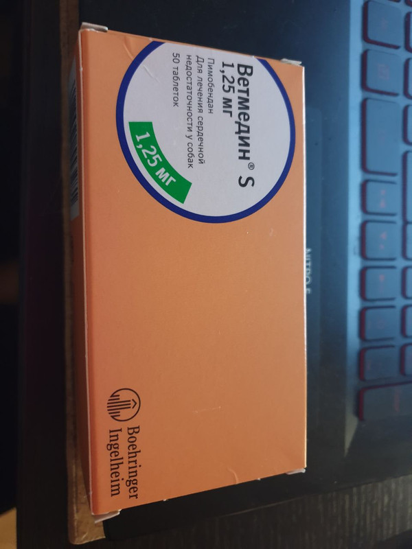 photo_2022-12-07_17-26-47