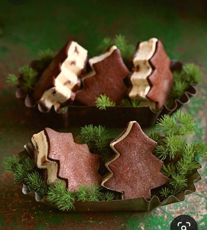 Screenshot_20231222_122927_Pinterest