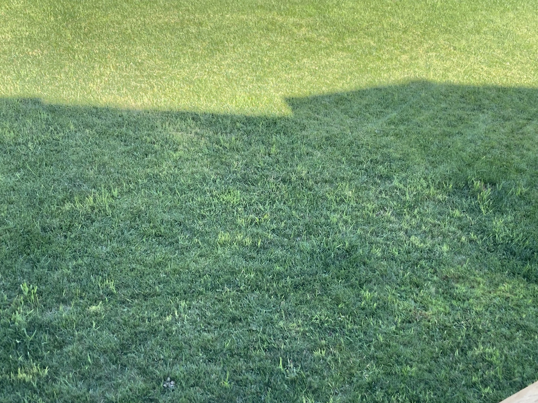 45C37034-E31F-4ECA-BD9F-17426A026C9F