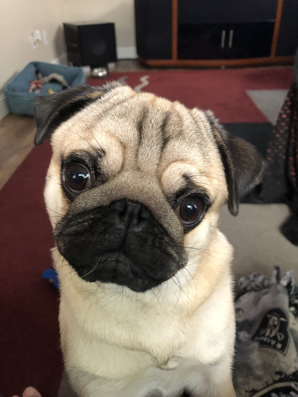 0E0D8882-D658-44DA-AA1D-B1628C2E8020