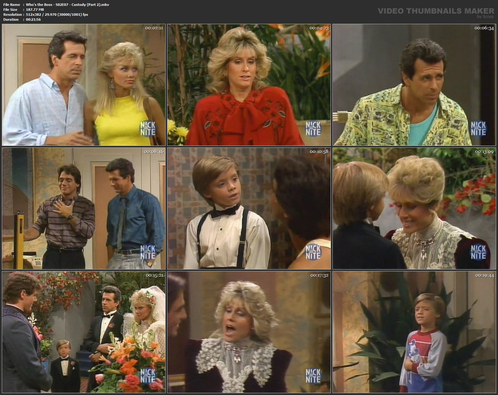 Who's the Boss - S02E07 - Custody (Part 2).mkv