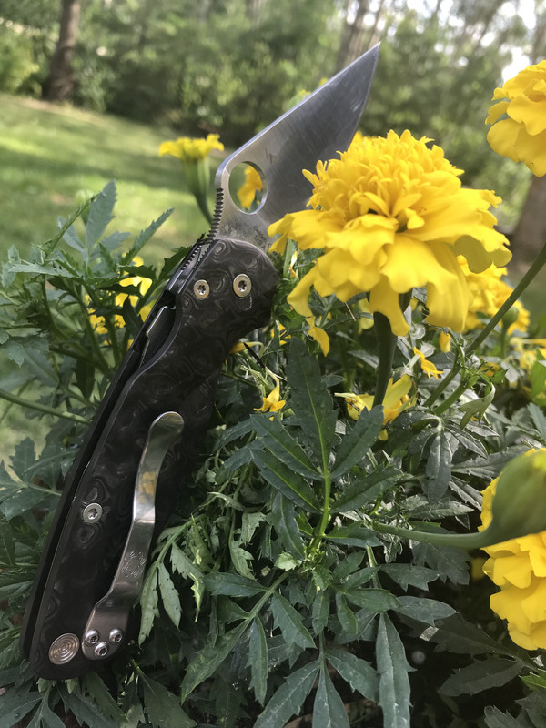 32FA1714-DBD1-4E87-9601-25727CA52554