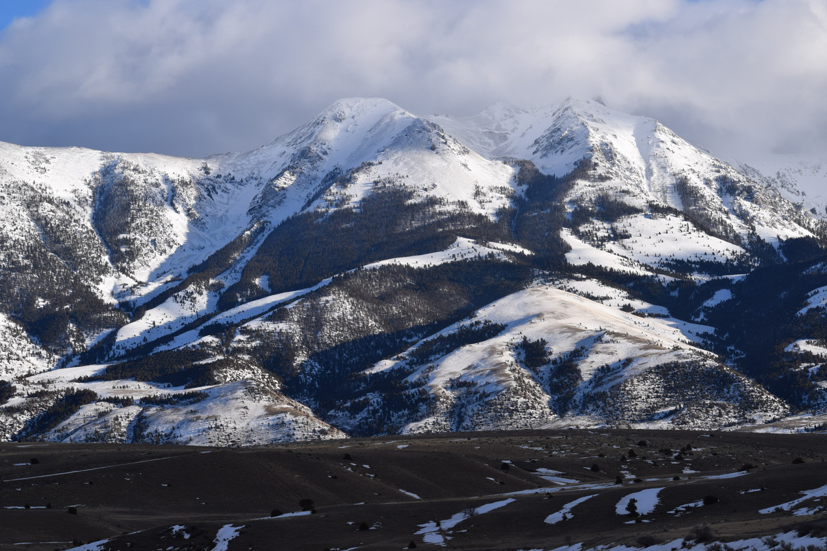 DSC_0081 (1)