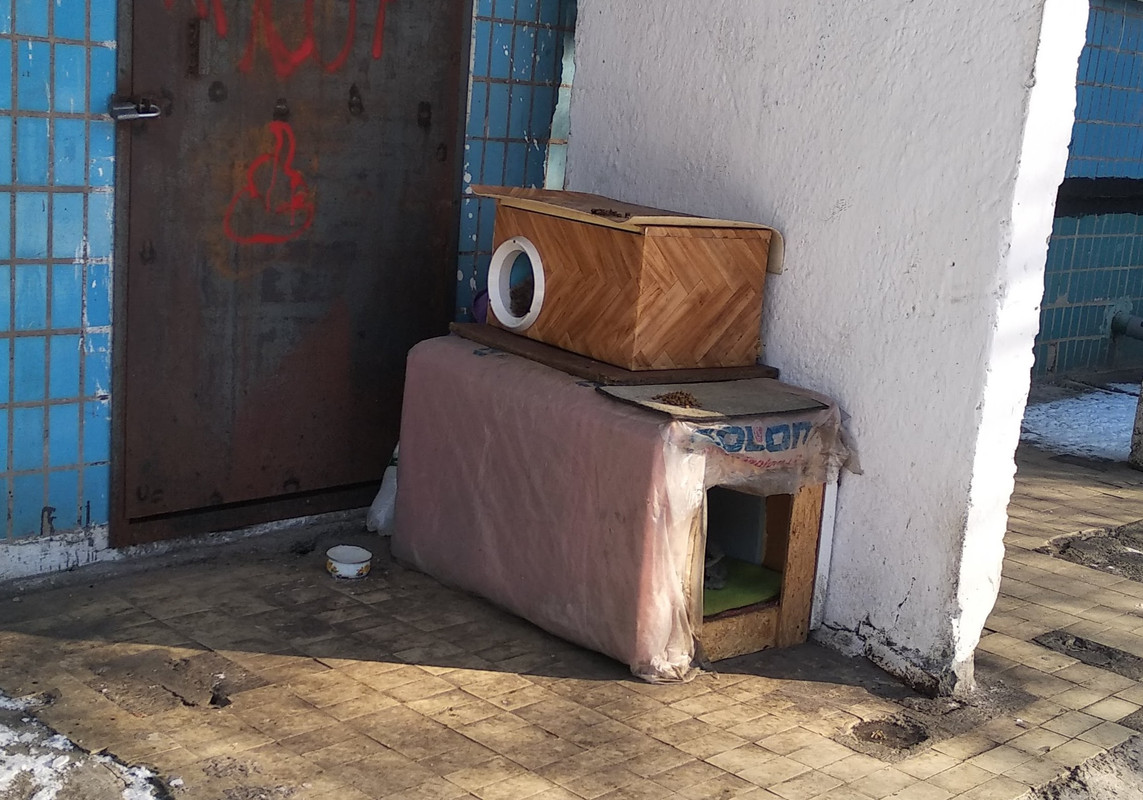 IMG_20200209_133442 (1)