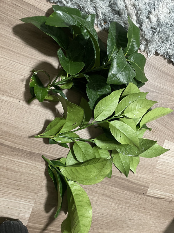 2BE6B779-36C9-4ED4-89FC-B27AAA6EB0CE