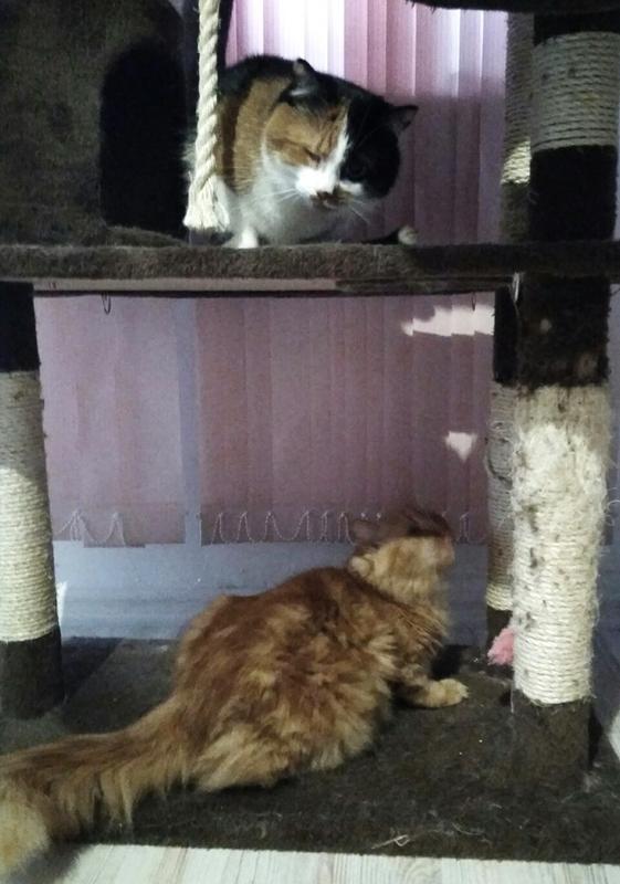 Ni79NGpsDi8.jpgдлд