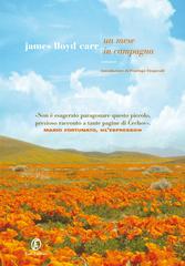 James Lloyd Carr – Un mese in campagna (2013)