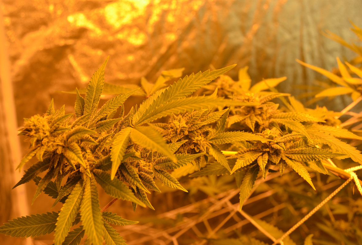 IMG_20171129_010112_676