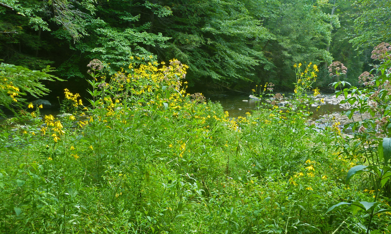 2022-09-01 5 at mouth