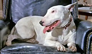 vlcsnap-2022-04-07-18h37m19s068