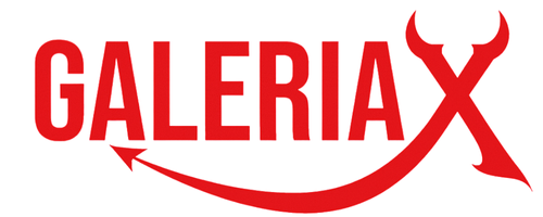 Logo GaleriaX