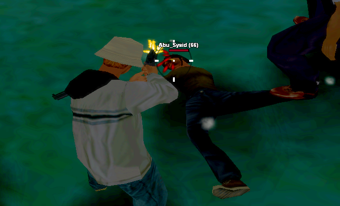 SS2.png