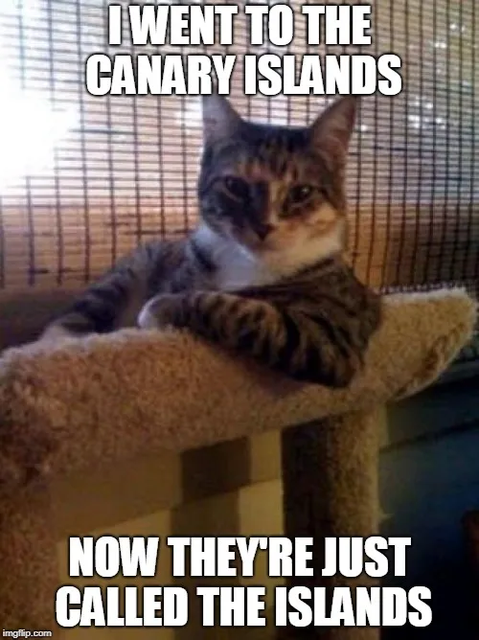 The-Most-Interesting-Cat-In-The-World-3-meme-pfarm-thumbnail.png