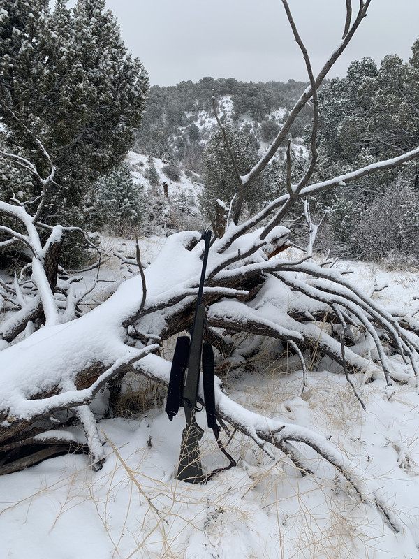 B53F6B59-263D-4A60-8425-E4F9DC553918