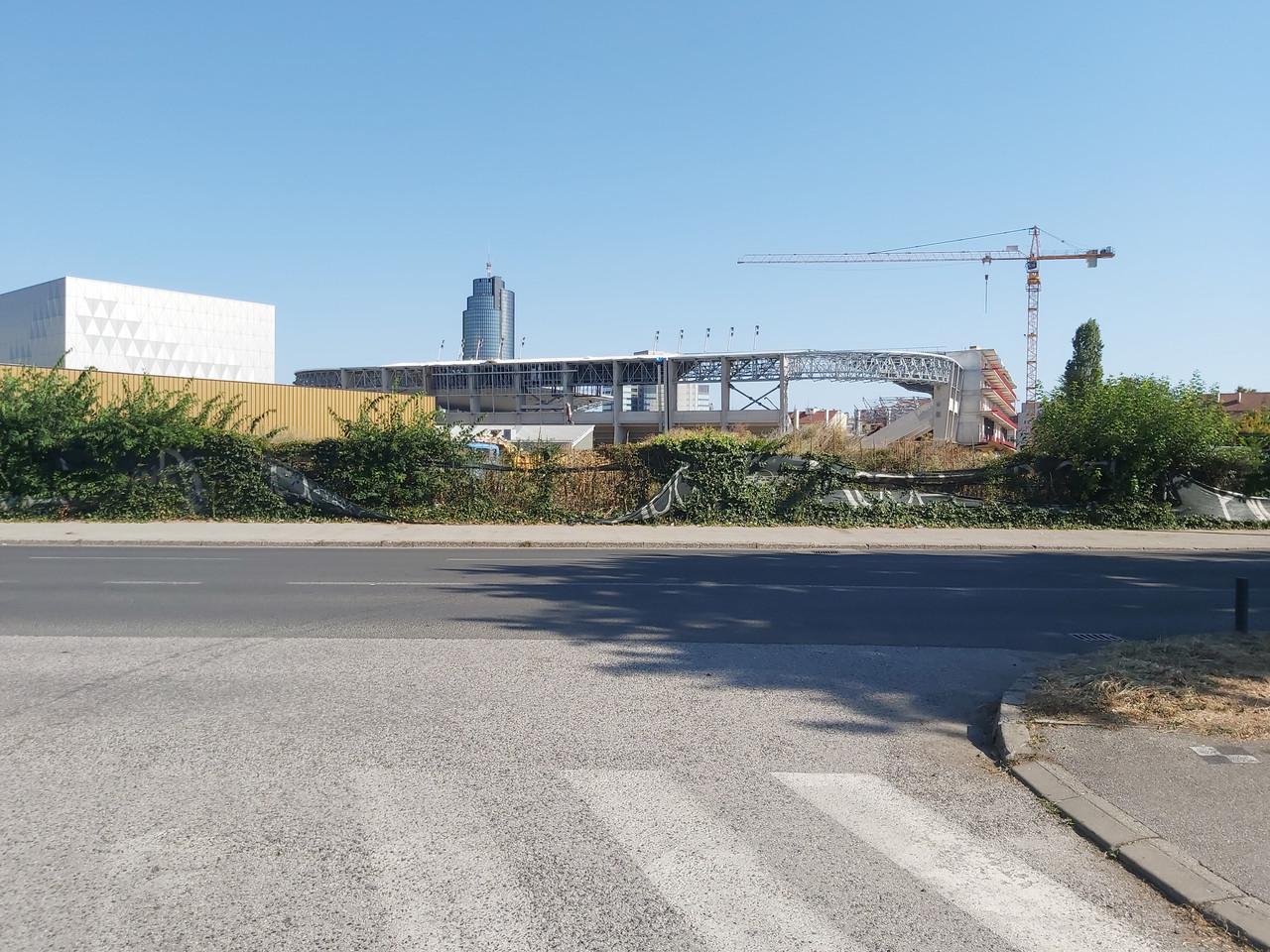 adzijina-20260810-14.jpg