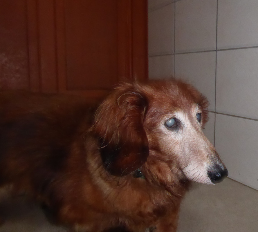 [Image: P1030930.jpg]