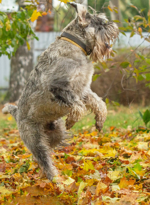 JHlcx2PMV-okeN98v0kr5D9q_IsSpqWIpnXV66WKl78Wy2dSo8VuH1-63L-0KXaXgHTR9Az3jf7U1nHXpjFwkt3D