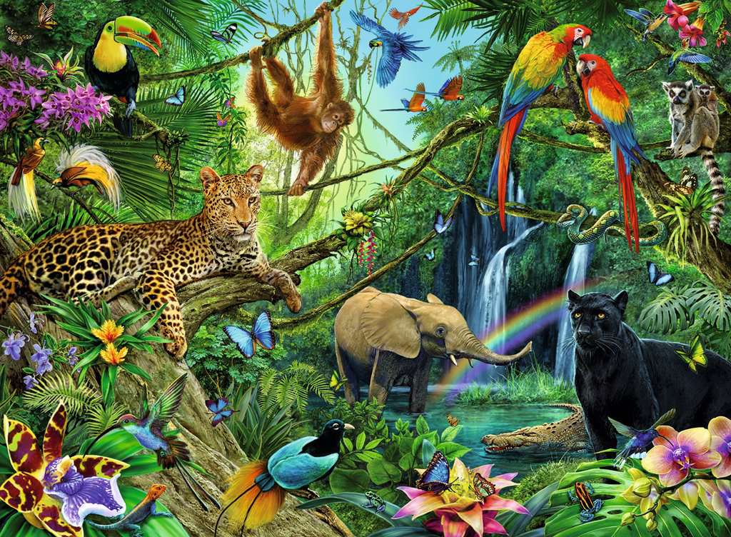 https://i.postimg.cc/kgTsjT6S/ori-puzzle-xxl-les-animaux-sauvages-singe-elephant-perroquet-leopard-200-pieces-ravensburger-126606.jpg