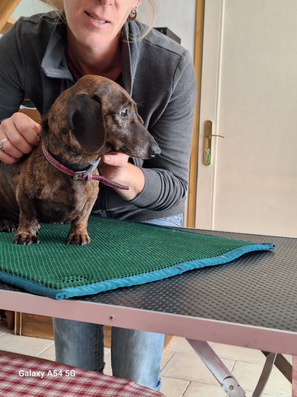 [Image: 20240702-165827.jpg]