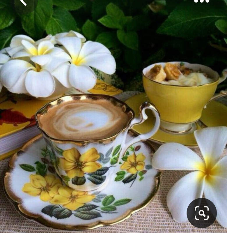 Screenshot_20230615_233158_Pinterest