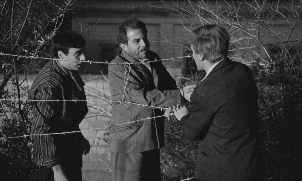 vlcsnap-2023-03-12-14h01m28s813