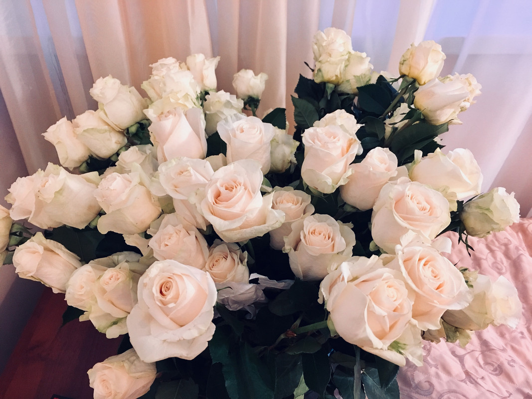 FFD33E63-905E-42F5-B8ED-DC67036CAA17