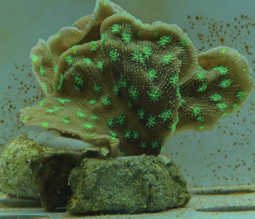 D1605E7E-D556-4CAB-BD1B-AF2B2E4FF3A1