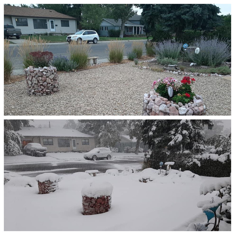 snow