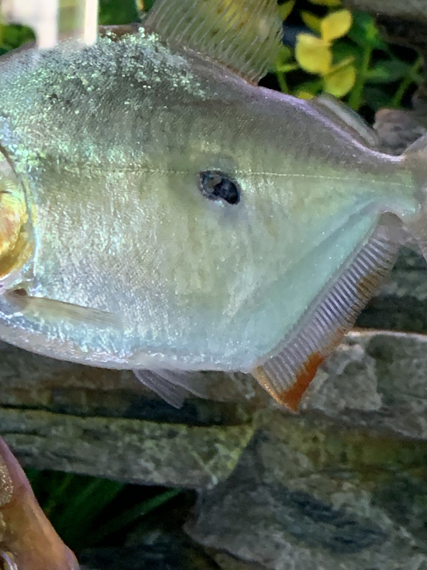 7B073BA1-FAD1-4F41-91DD-3E35DA73F6E3