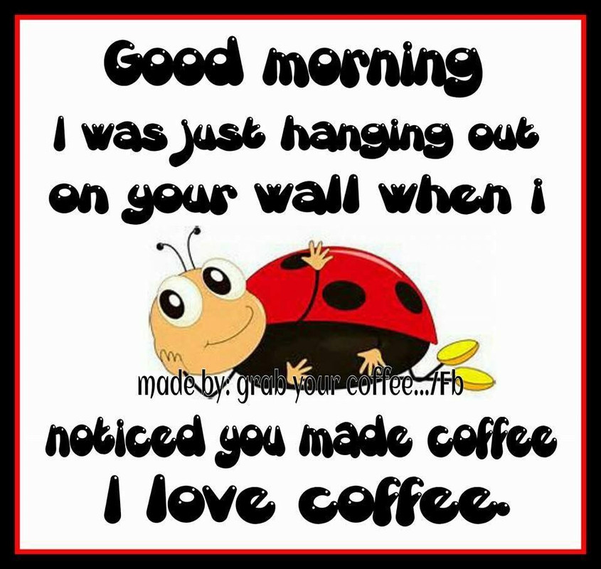 9a9f5aa9241059f5ea17fa6ec3b736f7 (1)