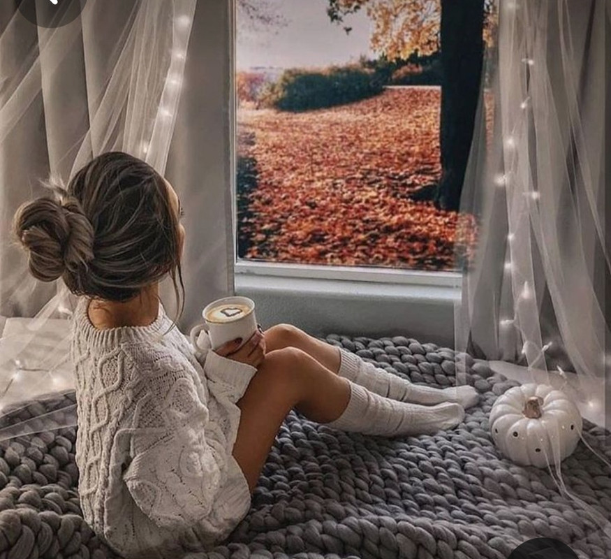 Screenshot_20231130_234917_Pinterest