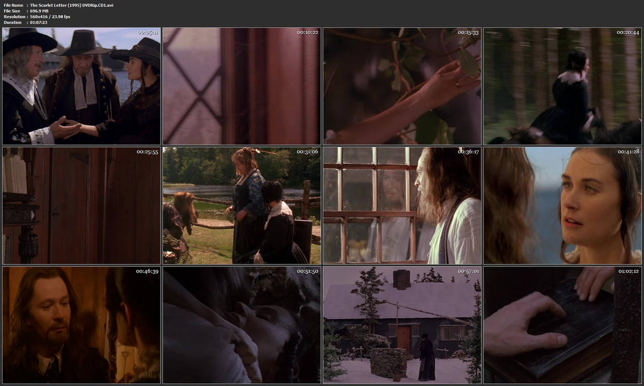 The Scarlet Letter (1995) DVDRip.CD1.avi