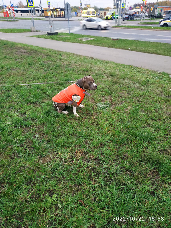 408A893C-3C5B-449B-A88A-C0A8FCE2F49D