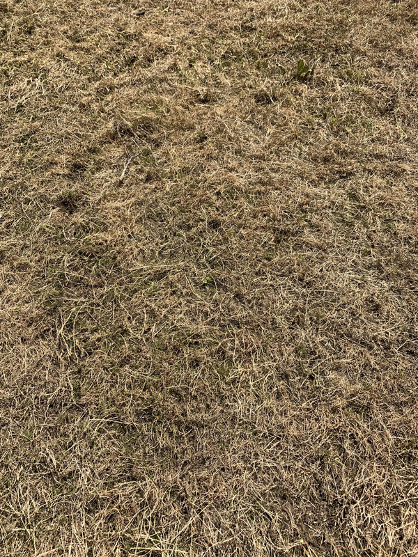 5C414B71-54E7-4756-9FD0-7A4B3527587E