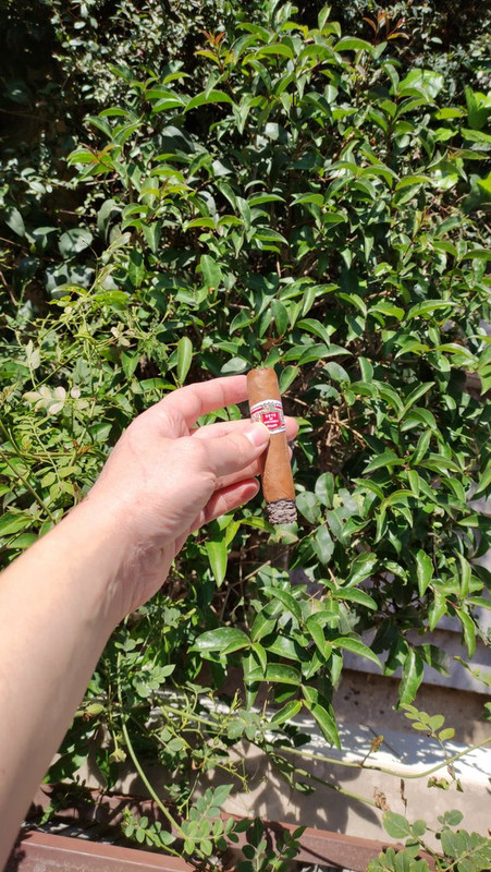 IMG-0e294c0207677f0e64fde53790442d5c-V