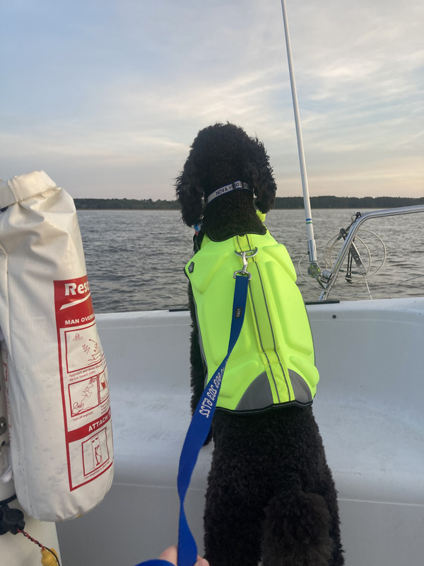 561B8252-E627-48DB-9CD4-E0F99069BD67