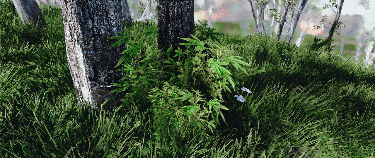 enb2021_11_1_11_00_58