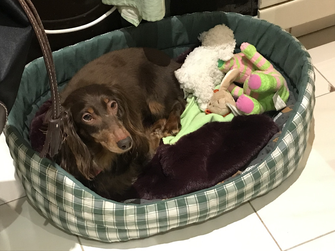 [Image: CF7281-E0-A6-E4-4-F5-A-A4-AE-B0267-D857598.jpg]