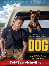 Dog (2022) HDRip Telugu Movie Watch Online Free