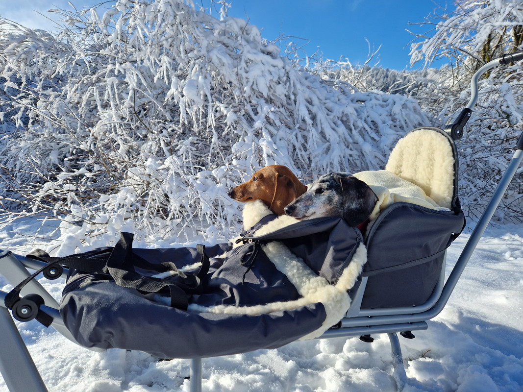 [Image: 20240120-144655.jpg]