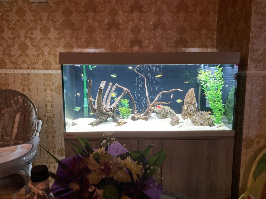 EF60CB6A-703A-496B-8343-74EDEB6F86E1