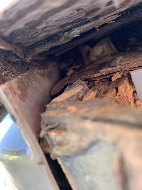 DFB29768-362B-4092-94D5-DB0BFCC3BAB2