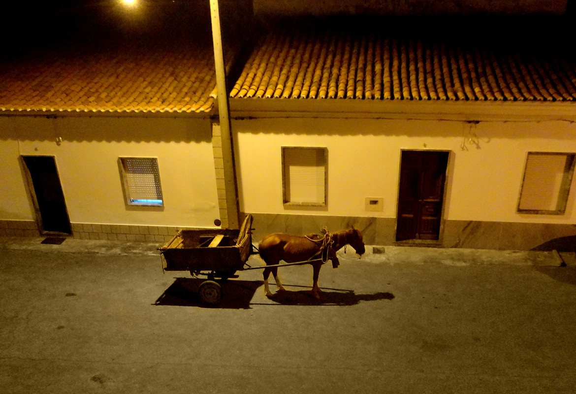 CARROÇA_FERIAS_1808