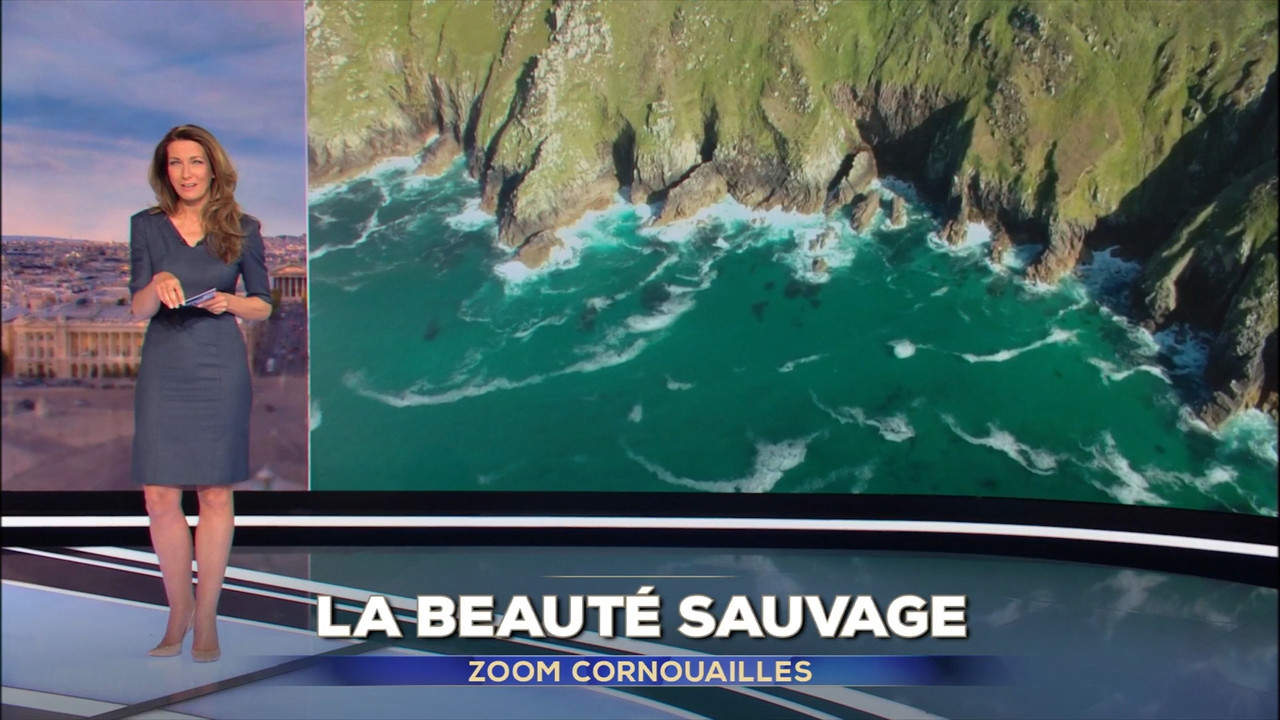 2022-04-24_13_00_TF1_Le-13h.mp4_snapshot_00.05.07.827