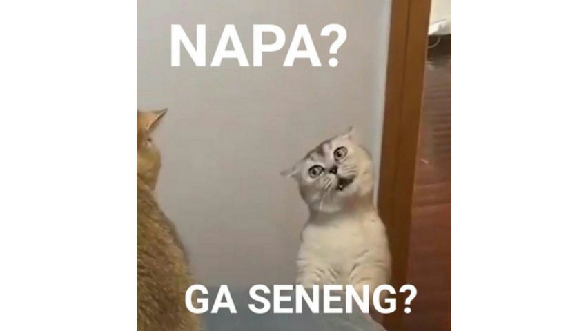 BIGMSG